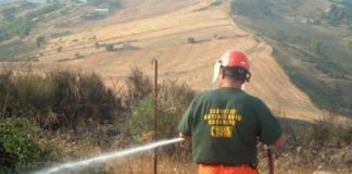 Regalo elettorale di Crocetta: aumento a 22mila forestali