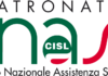 logo inas
