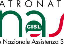 logo inas