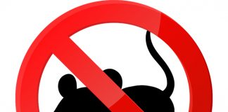 Condizioni igieniche inaccettabili presso UP Catania 17